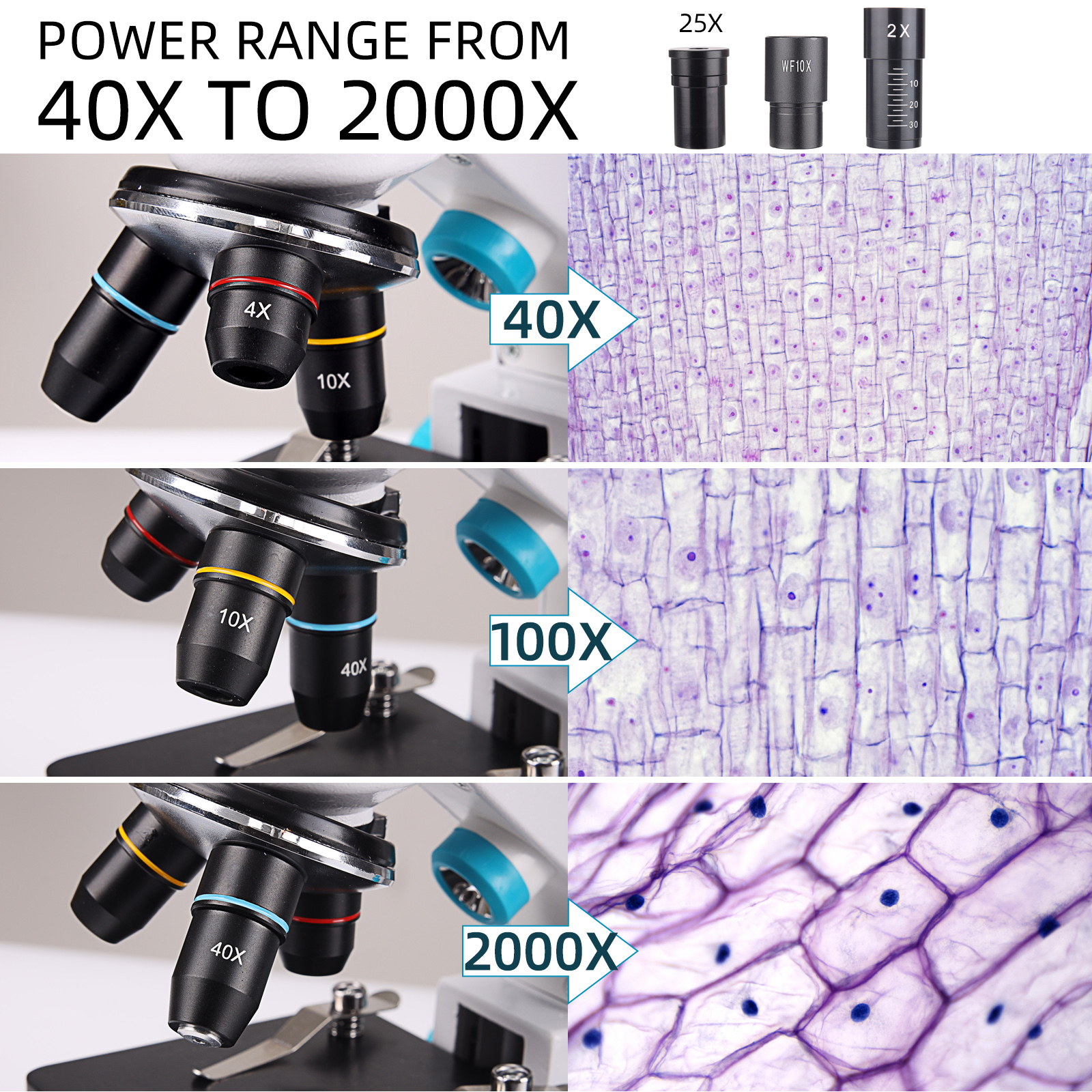 Microscopes For Kids And Students 40X 2000X Compound Monocular 